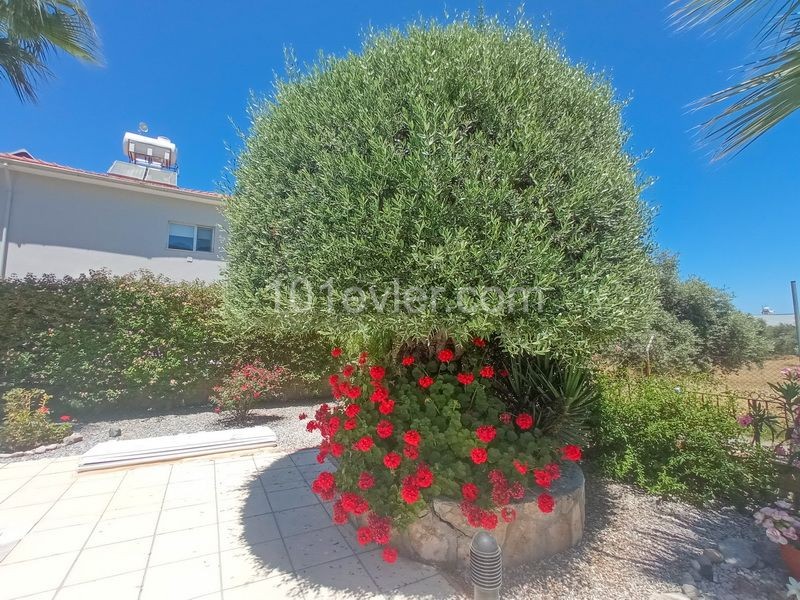 Villa For Sale in Ozanköy, Kyrenia