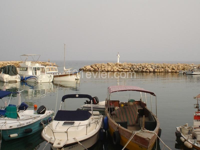 Eben  in Boğaz, Iskele