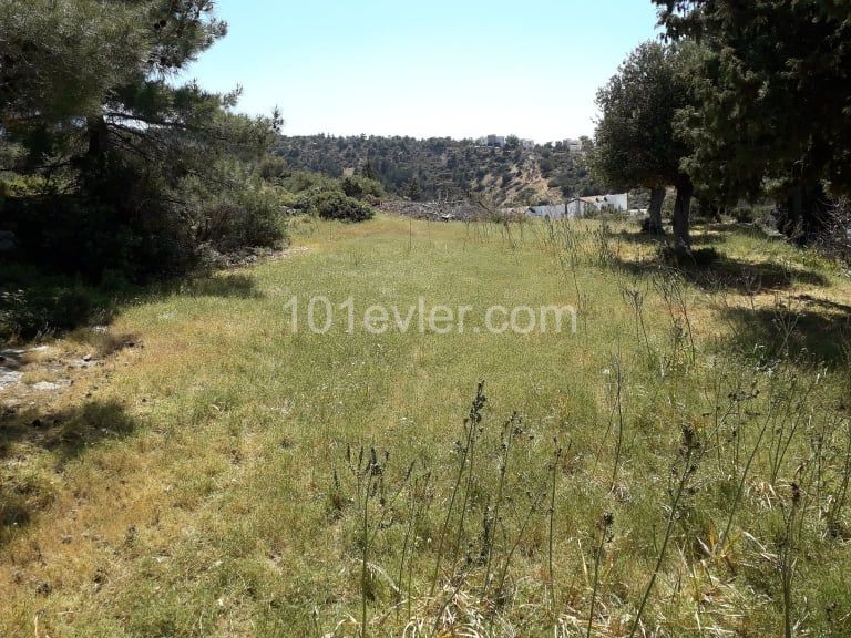 Premium Plot of Land in Esentepe - 1.75 Donum , with 35 % Build, Dual Access and Utilities Easily Connected