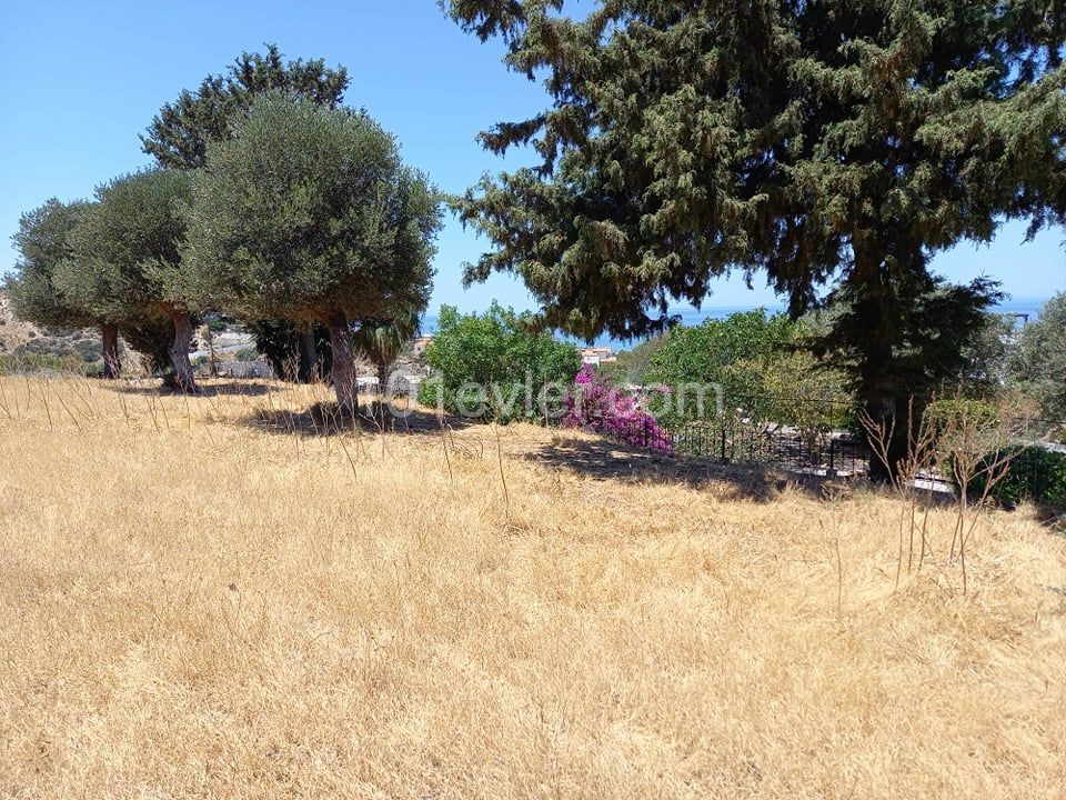 Premium Plot of Land in Esentepe - 1.75 Donum , with 35 % Build, Dual Access and Utilities Easily Connected