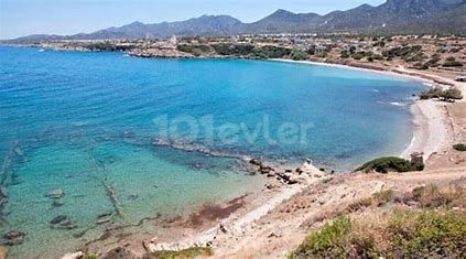 Voll ausgestattetes Penthouse mit 2 Schlafzimmern und Blick auf die Palmenbucht, direkt am Strand zur Langzeitmiete