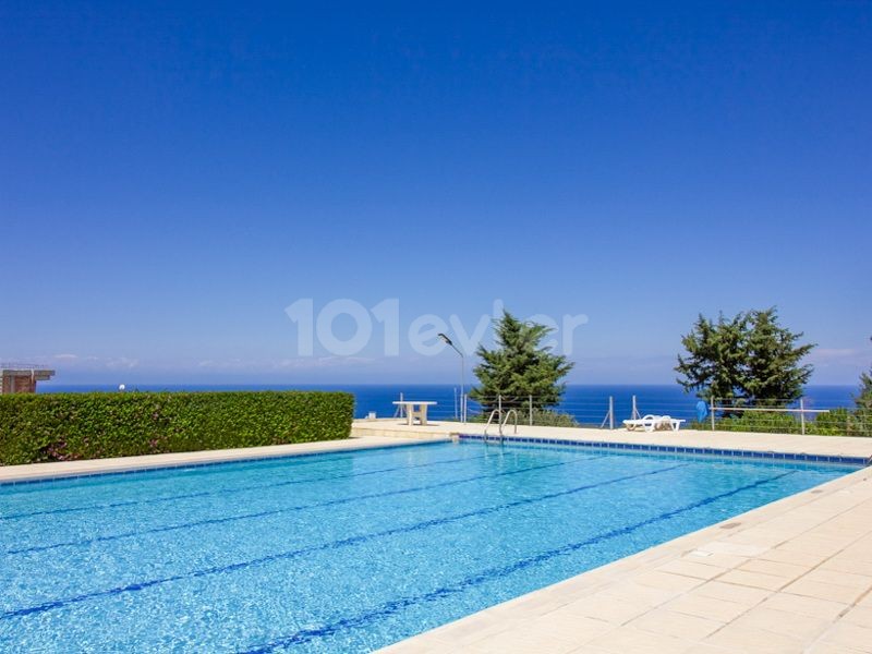 Stunning resale 3 bedroom penthouse apartment + Olympic sized communal pool + fully furnished + white goods + roof terrace + sea and mountain views