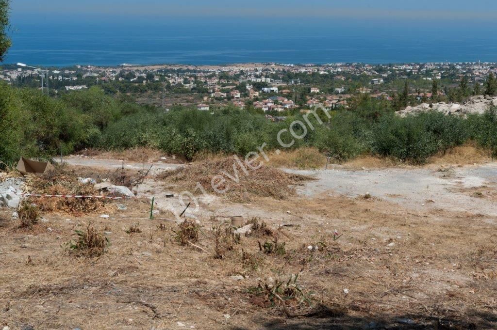 فروش زمین با سند خارجی قبل از سال 1353