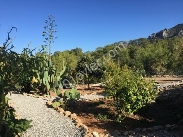 ویلا برای فروش in Esentepe, گیرنه