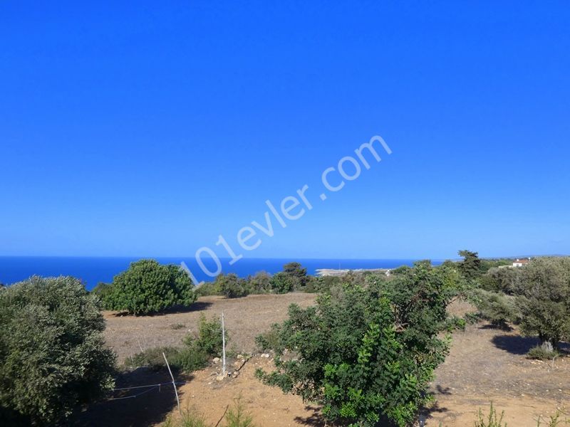 HP2248  - 2 BEDROOMS BEAUTIFUL BUNGALOW WITH SEPECTACULAR SEA VIEWS 