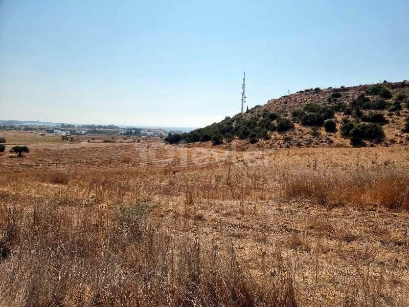 10.750 m2 LAND WITH BUILDING PERMISSON – İSKELE, BOĞAZ)