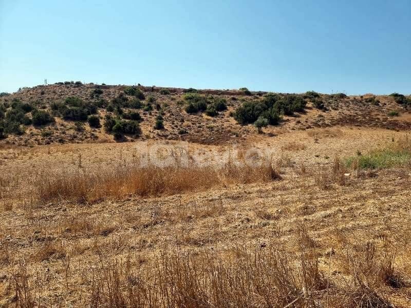 10.750 m2 LAND WITH BUILDING PERMISSON – İSKELE, BOĞAZ)