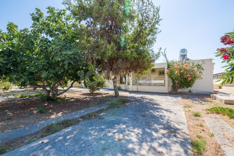 PRE 74 TURKISH TITLE DEED, ON THE BEACH WITH A PRIVATE POOL, 3 BEDROOM BUNGALOW IN BOGAZ