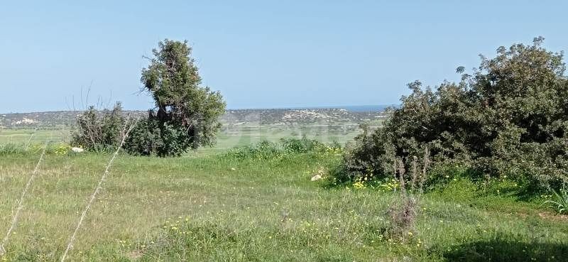 7.5 DONUMS OF LAND IN MEHMETCIK WITH SEA VIEWS