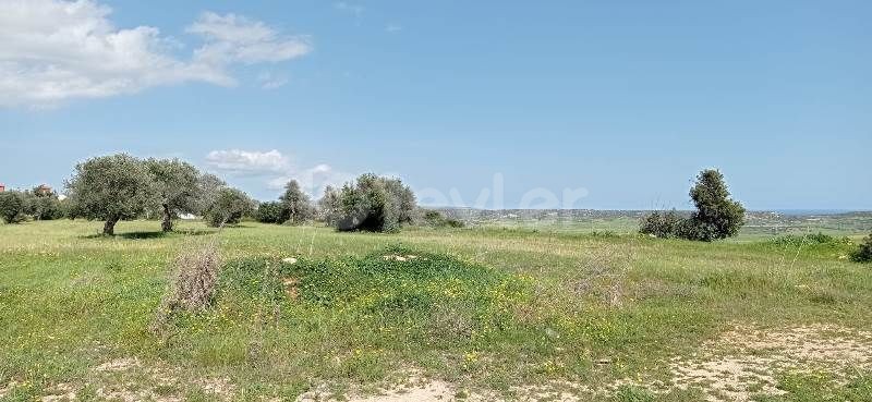 7.5 DONUMS OF LAND IN MEHMETCIK WITH SEA VIEWS