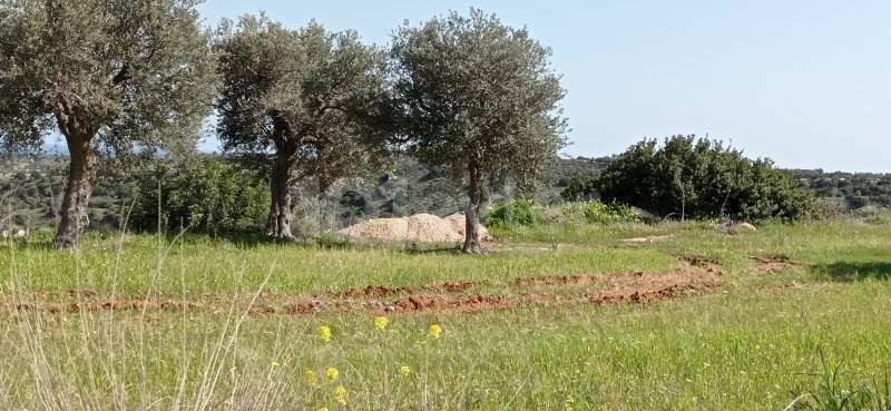 7.5 DONUMS OF LAND IN MEHMETCIK WITH SEA VIEWS