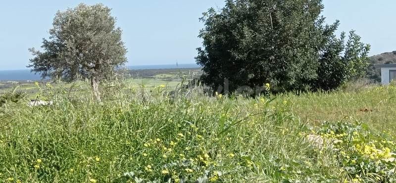 7.5 DONUMS OF LAND IN MEHMETCIK WITH SEA VIEWS