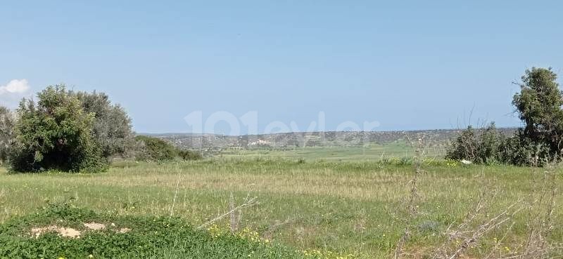 7.5 DONUMS OF LAND IN MEHMETCIK WITH SEA VIEWS