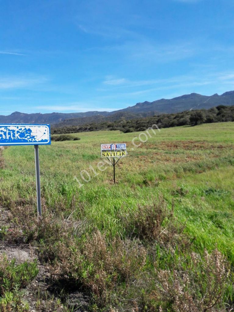 Feld Kaufen in Kaplıca, Iskele