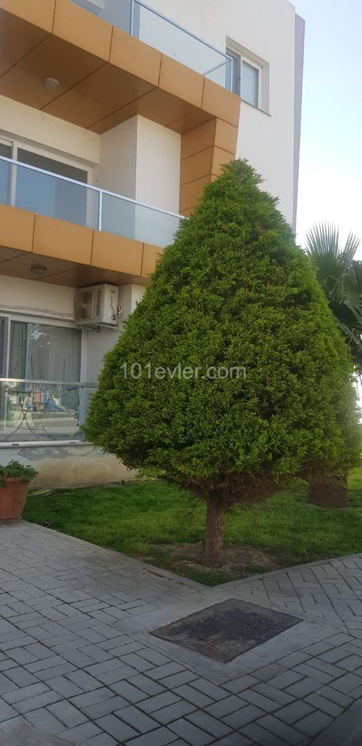 Flat To Rent in Tuzla, Famagusta