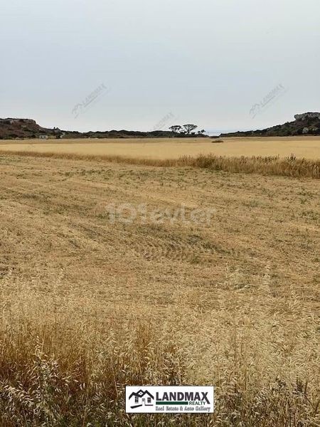 KIBRIS İSKELE KALECİK BÖLGESİ KARPAZ ANAYOLU YAKINI,YATIRIMA MÜSAİT SATILIK 7 DÖNÜM 2 EVLEK (10.035m2) BÜYÜKLÜĞÜNDE ARSA NİTELİKLİ ARAZİ…  İn 7 Dönüm 2 Evlek (10.035m2) Area Land FOR SALE Which is Suitable To Make On investment Where its Near To The Karpaz Highway @Kalecik Region Of iskele Town in N