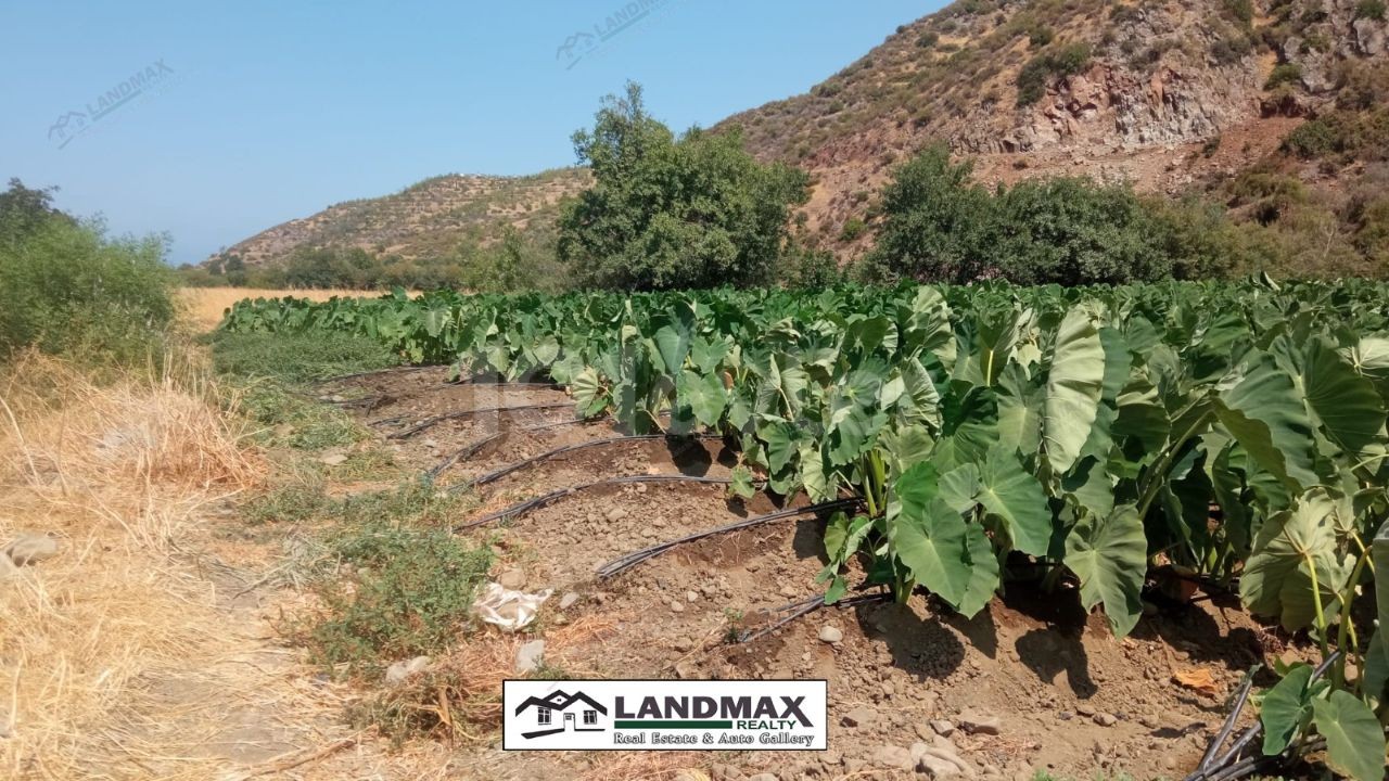 Lefke, Yesilirmak Region geeignet für den Garten, kein Wasserproblem, geeignet für den Anbau von allen Arten von Gemüse, Obst, 4 Hektar 1 evlek 3200 Schuhe türkisches Eigentum zum Verkauf Land Llogara ** 