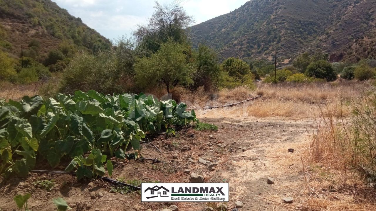 Turkish title land for sale in 4 Dönüm 1 Evlek 3200 square meters area, suitable for gardening without water problem. Location: in Yeşilırmak region of Lefke town in North Cyprus❗❗❗ 