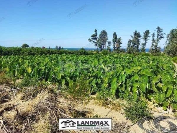 Only 500 Meter Far From The University Campus in 7 Dönüm 2 Evlek (10.035 m²) Area Exchange Title Deed Land FOR SALE Which Has High Rise Build Permit (FASSIL 96) and All Official infrastructures Are Ready With Amazing View @Gemikonağı Region Of Lefka Town in North Cyprus...