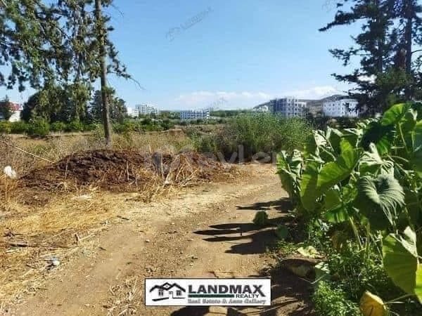 Only 500 Meter Far From The University Campus in 7 Dönüm 2 Evlek (10.035 m²) Area Exchange Title Deed Land FOR SALE Which Has High Rise Build Permit (FASSIL 96) and All Official infrastructures Are Ready With Amazing View @Gemikonağı Region Of Lefka Town in North Cyprus...