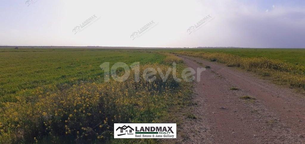 31830 m2 land for sale in GAZIMAĞUSA ALANİÇİ REGION