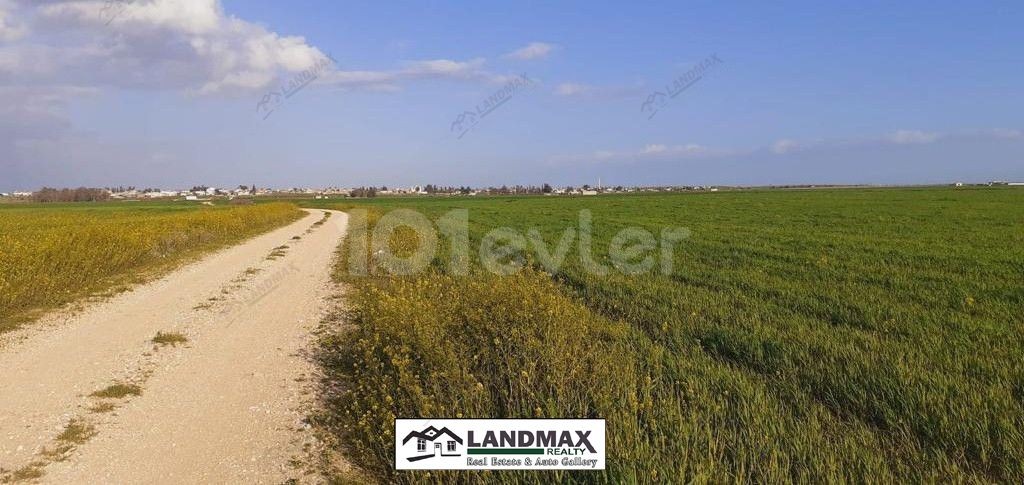 31830 m2 land for sale in GAZIMAĞUSA ALANİÇİ REGION