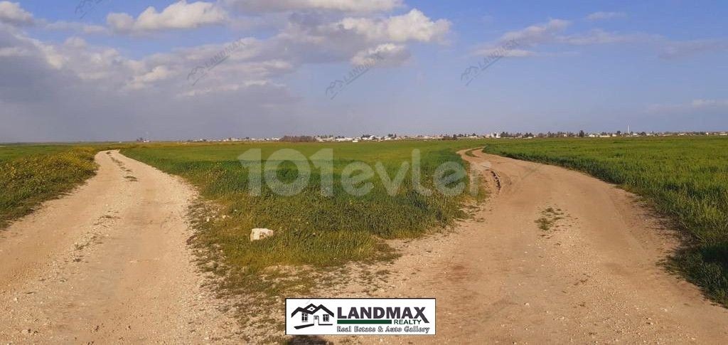 31830 m2 Land zu verkaufen in GAZIMAĞUSA ALANİÇİ REGION