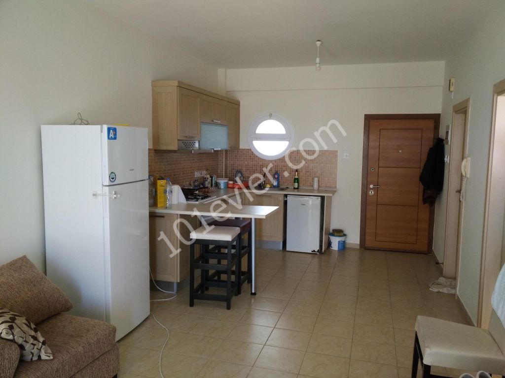 1 bedroom apartment for sale in 5-star residential site