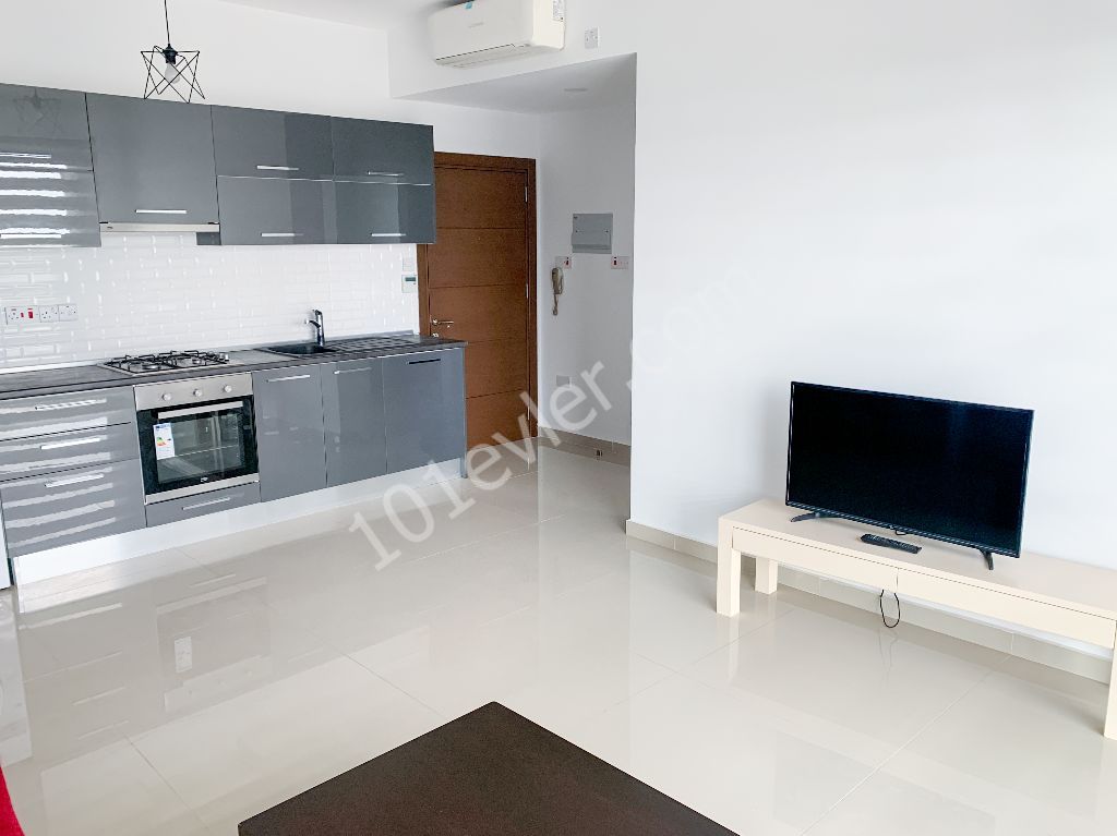 1+1 Flats for Rent at Caddemm