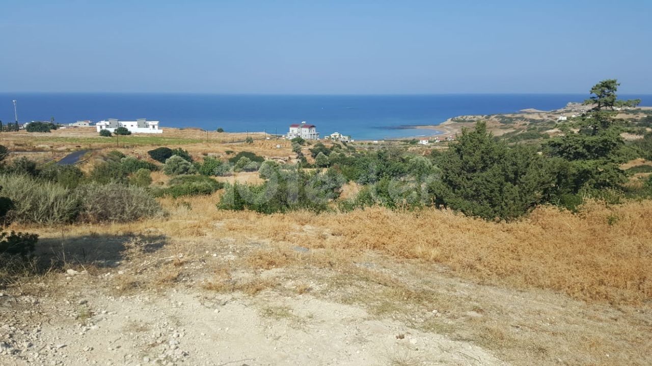 PLOT OF LAND NEAR THE SEA Dec ** 