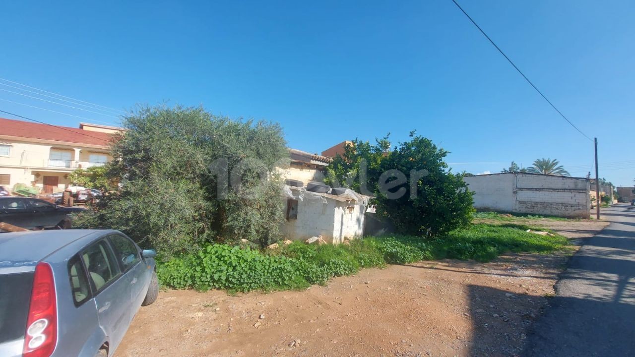 Einfamilienhaus Kaufen in Beyarmudu, Famagusta