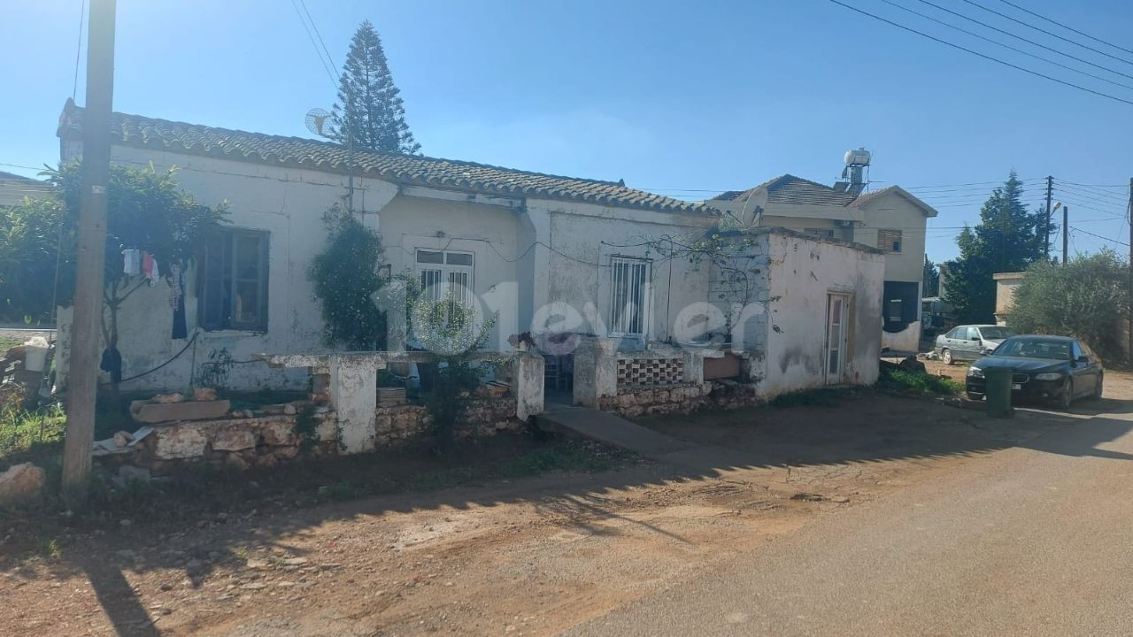 Einfamilienhaus Kaufen in Beyarmudu, Famagusta