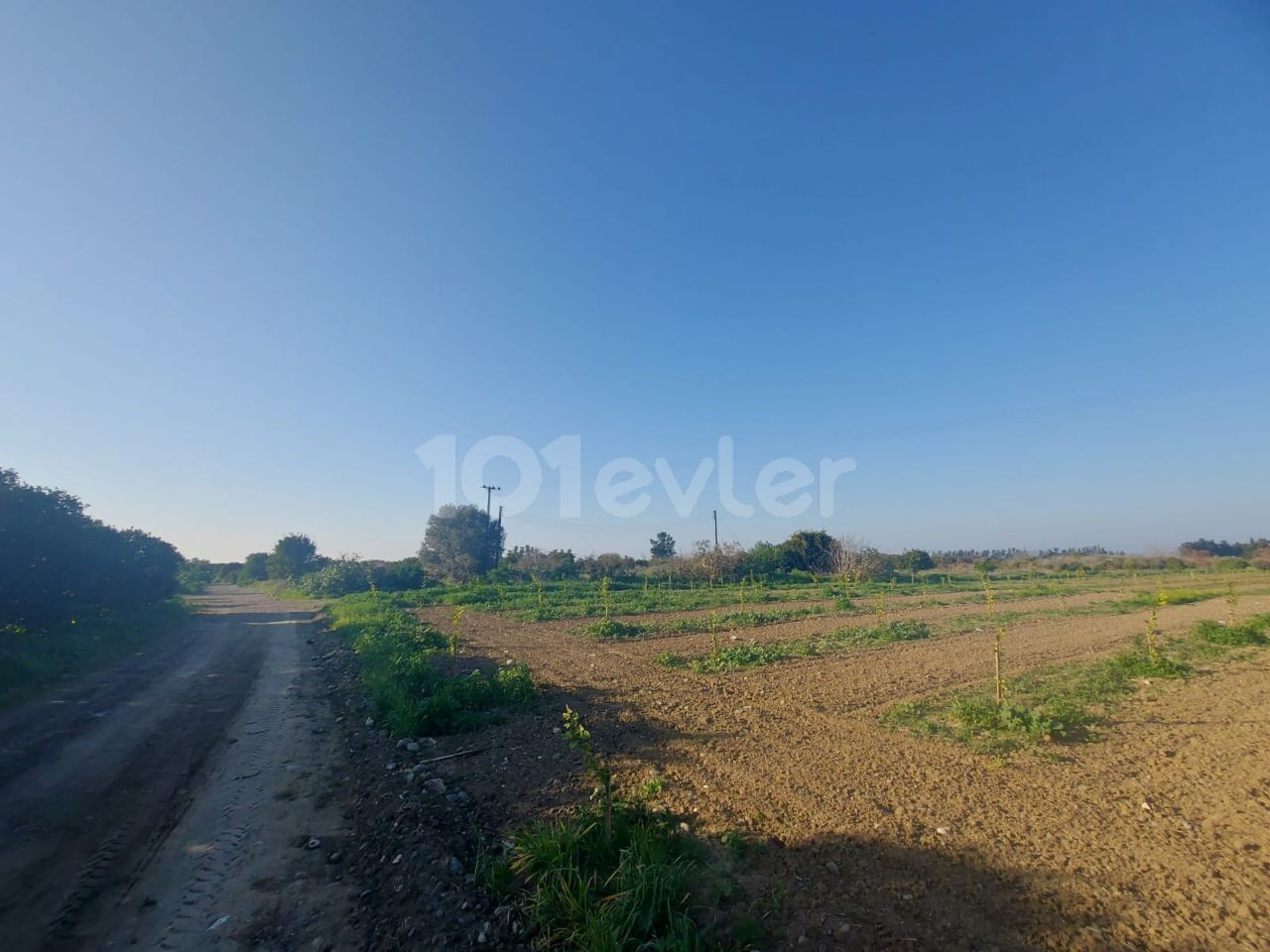 LAND FOR SALE