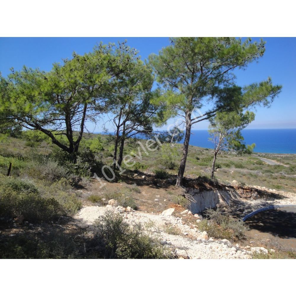 Residential Zoned Plot For Sale in Sadrazamköy, Kyrenia