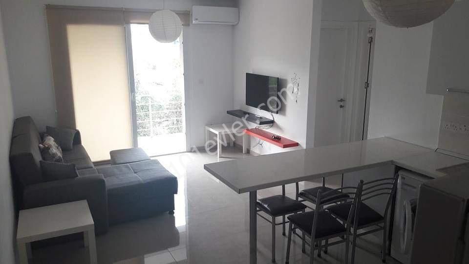 2 Bedroom Aparment For Rent