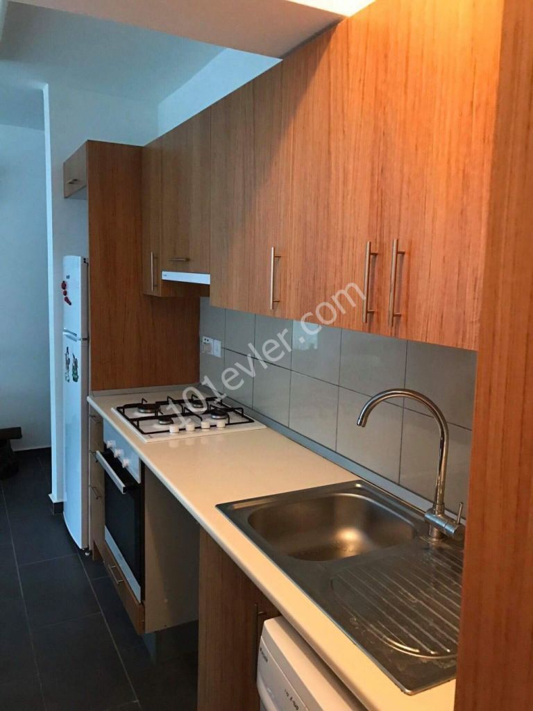 1 Yatak Odalı Kiralık Daire