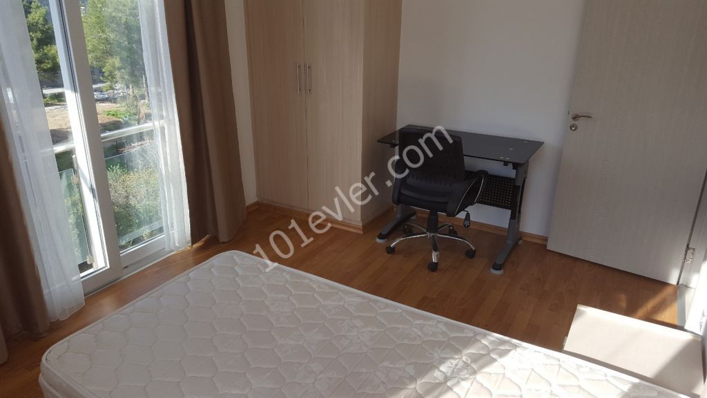 1 Yatak Odalı Kiralık Daire