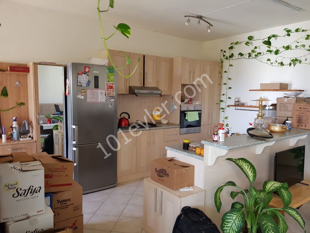 Flat To Rent in Lapta, Kyrenia