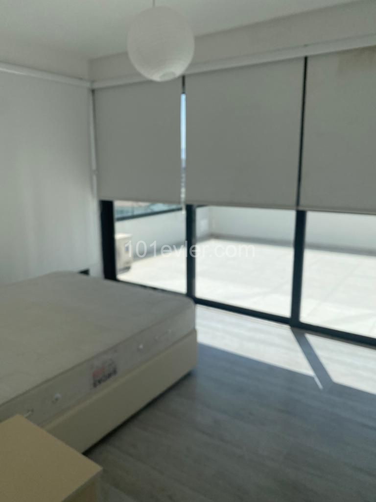 3 Yatak odalı penthouse 