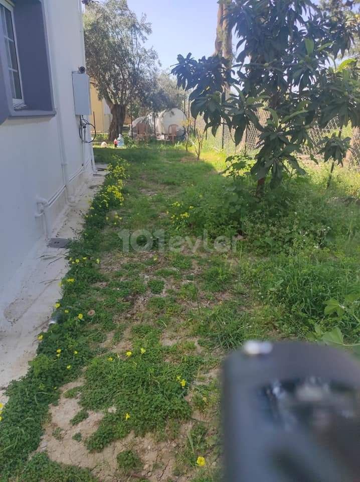 Günlük Kiralık 4 yatak odalı Villa 