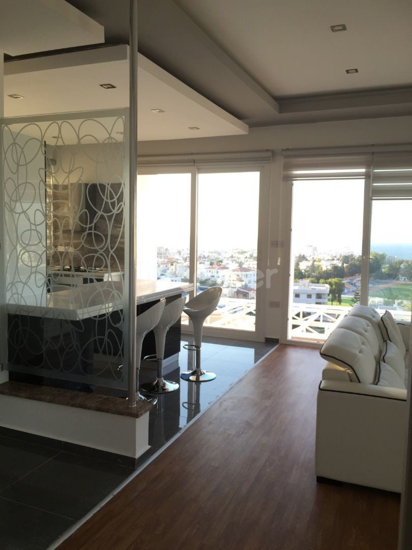 1 Yatak odalı penthouse