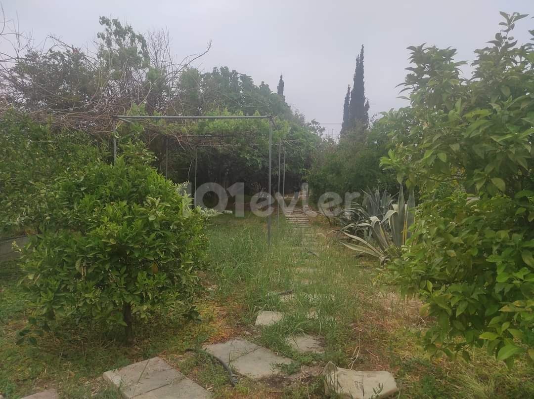 3+1 villa for daily rent in Alsancak