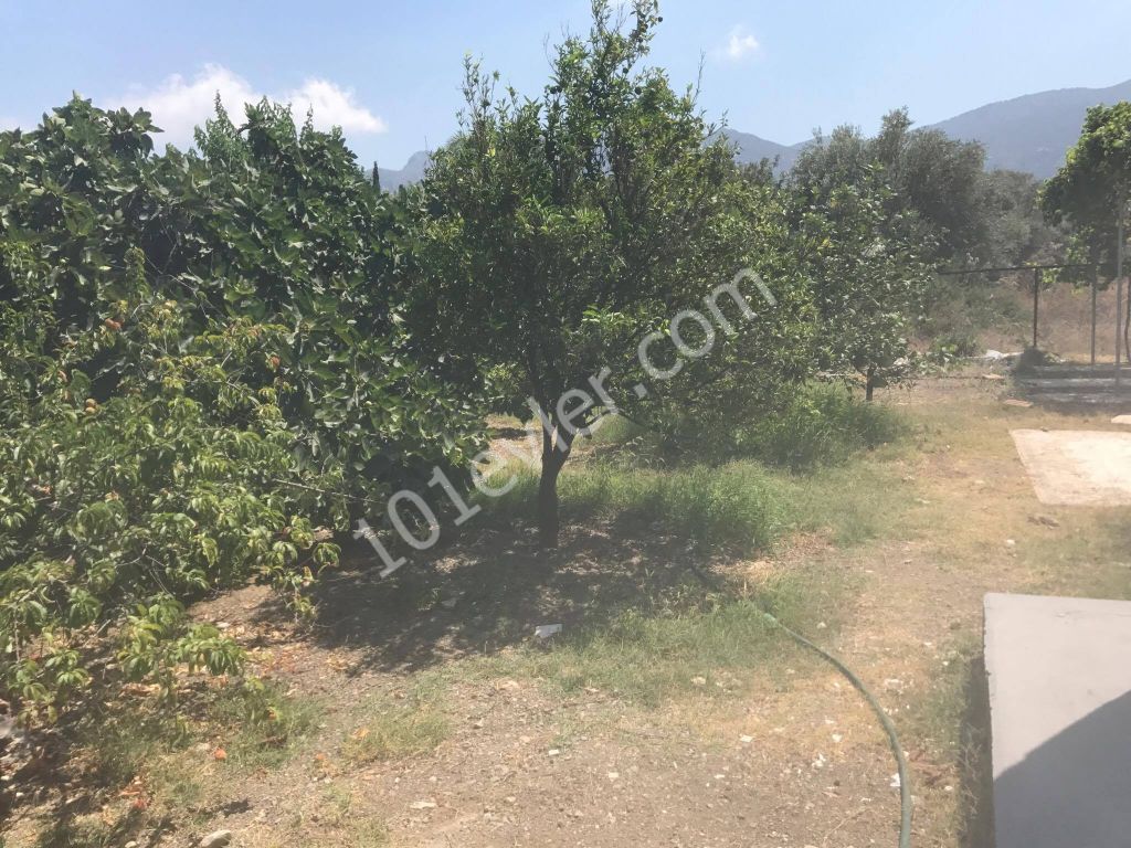 Einfamilienhaus Mieten in Çatalköy, Kyrenia