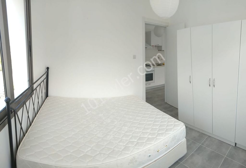 1 Bedroom Aparment For Rent