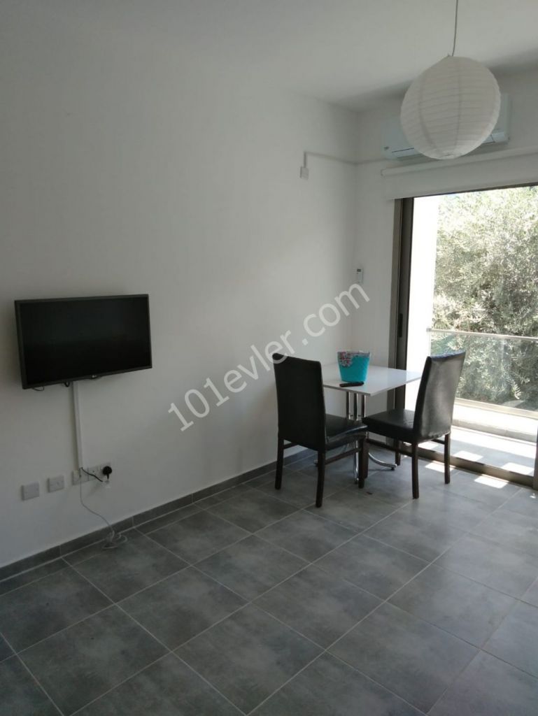 1 Bedroom Aparment For Rent