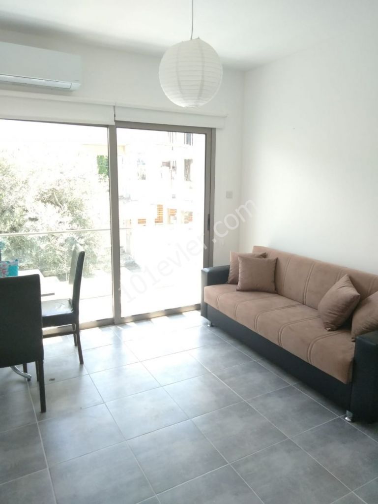 1 Bedroom Aparment For Rent