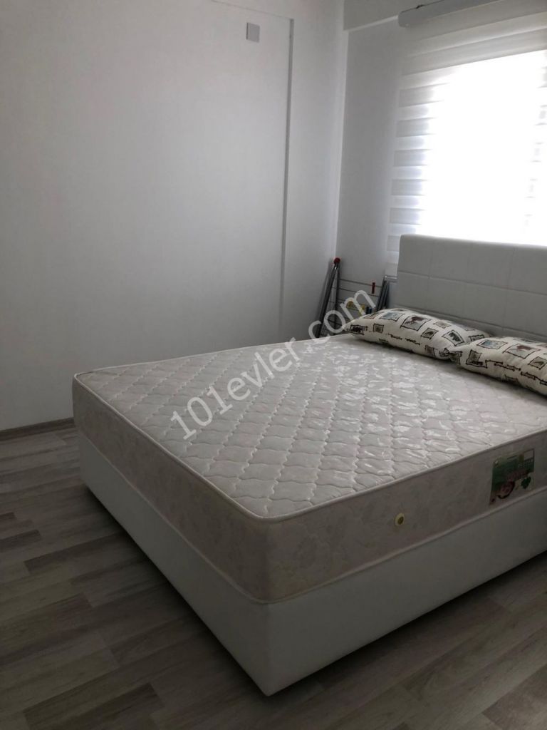 Flat To Rent in Ortaköy, Nicosia