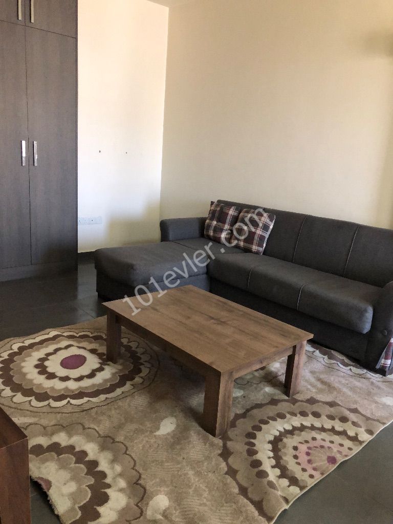 2+1 lux apartment with double bathroom barbecue with miter ** 