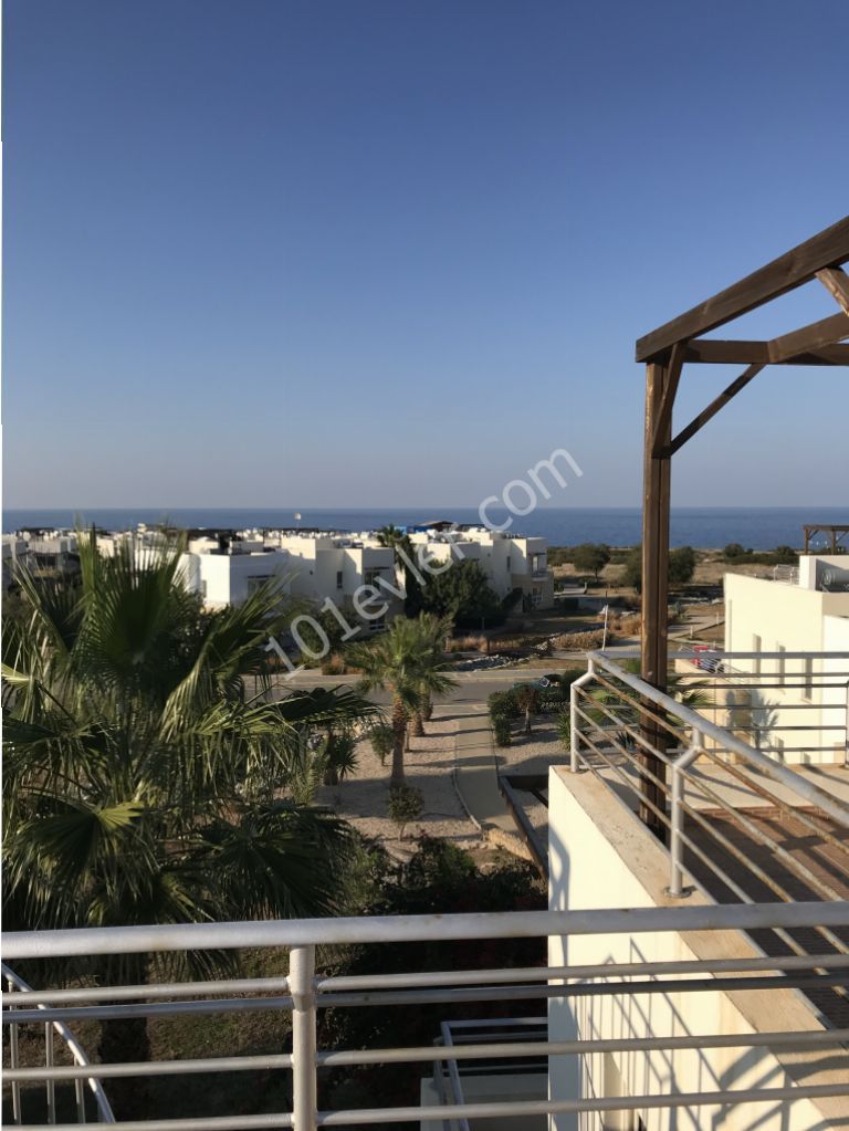 Alagadi Turtle Bay sitesinde satılık 2+1 daire