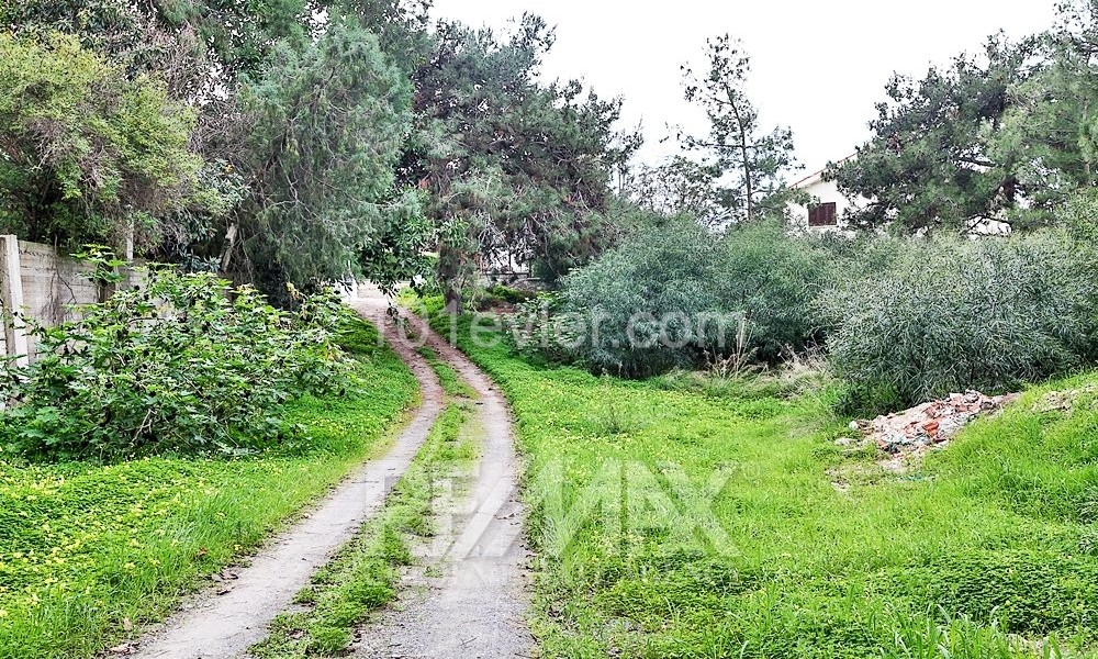 Land In Dogankoy